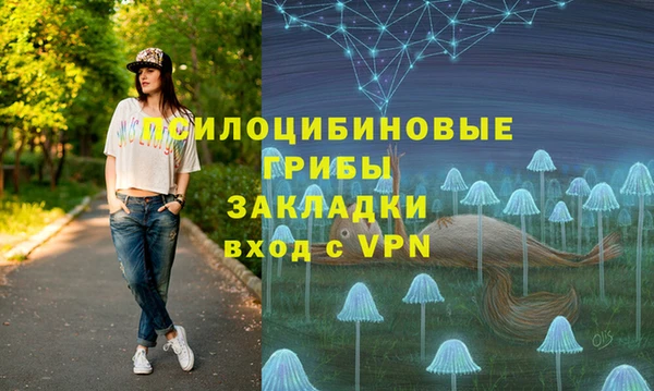 ГАЛЛЮЦИНОГЕННЫЕ ГРИБЫ Гусиноозёрск