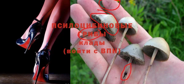 ГАЛЛЮЦИНОГЕННЫЕ ГРИБЫ Гусиноозёрск