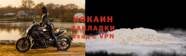 ГАЛЛЮЦИНОГЕННЫЕ ГРИБЫ Гусиноозёрск
