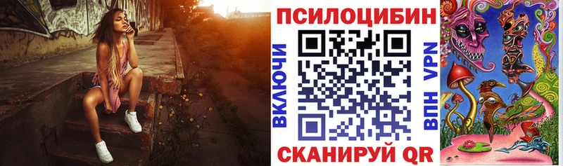 Купить где  Курильск  Псилоцибиновые грибы ЛСД 